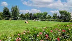 Actividades y horarios en los cementerios para conmemorar el Día del Padre