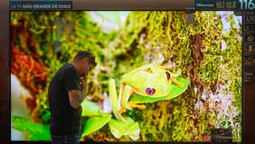 El televisor más grande de Chile se vende por casi $11.000.000