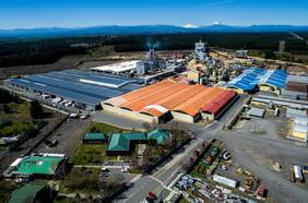 Arauco aprueba inversión de US$100 millones para línea de tableros en Ñuble