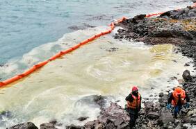 Convención: colectivos de izquierda y centro izquierda acuerdan aprobar, en particular, la imprescriptibilidad de delitos ambientales