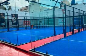 Cómo las canchas de pádel están provocando la muerte de miles de aves