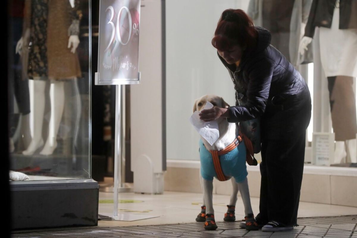 Las mascotas son parte de la familia de millones de chilenos. Cuidarlos este invierno es esencial para seguir compartiendo con ellos muchos años de salud más.