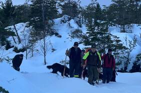 Rescatan con vida a los tres trabajadores forestales extraviados en el volcán Apagado