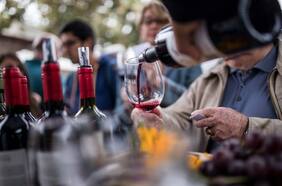 Todas las fiestas de la vendimia que quedan para brindar este 2022