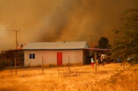 Incendio forestal en Maule: piden evacuar Loteo San Francisco mientras Conaf trabaja en cortafuegos para detener avance