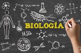PAES de Ciencias: Desafíate con un problema difícil de Biología