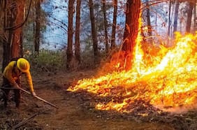 Araucanía: declaran alerta roja en Nueva Imperial por incendio cercano a zonas pobladas