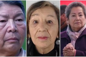 ¿Dónde están? Casos como los de Julia Chuñil y la concejala de Villa Alegre que mantienen en vilo a familias y comunidades