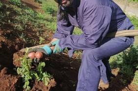 Designan a Héctor Cumilaf como nuevo seremi de Agricultura en la Región La Araucanía