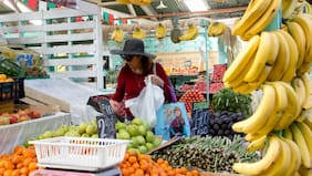 Productos agrícolas podrían subir hasta 50% por combustibles, según gremio de ferias libres