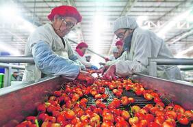 Sector agrícola advierte por posible escasez de packaging y llaman a reservar materiales