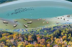 Estudio revela cómo era la Era del Hielo en la zona central de Chile