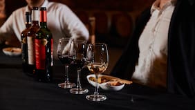 Vinos y una historiadora experta en Isidora Goyenechea: así será el tour premium que realizará Viña Cousiño Macul