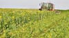 Ordenamiento territorial y seguridad alimentaria