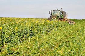 Checa Carboneg venderá créditos de carbono procedentes de 5 mil hectáreas de campos chilenos al año