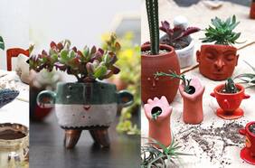 Plantas y maceteros: It’s a match!