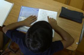 Casi la mitad de los apoderados dice tener un hijo con una necesidad educativa especial: esta es la principal