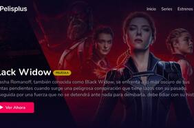 La ACE cerró el domino de Pelisplus