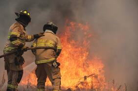Columna de Gloria de la Fuente: Palos porque bogan
