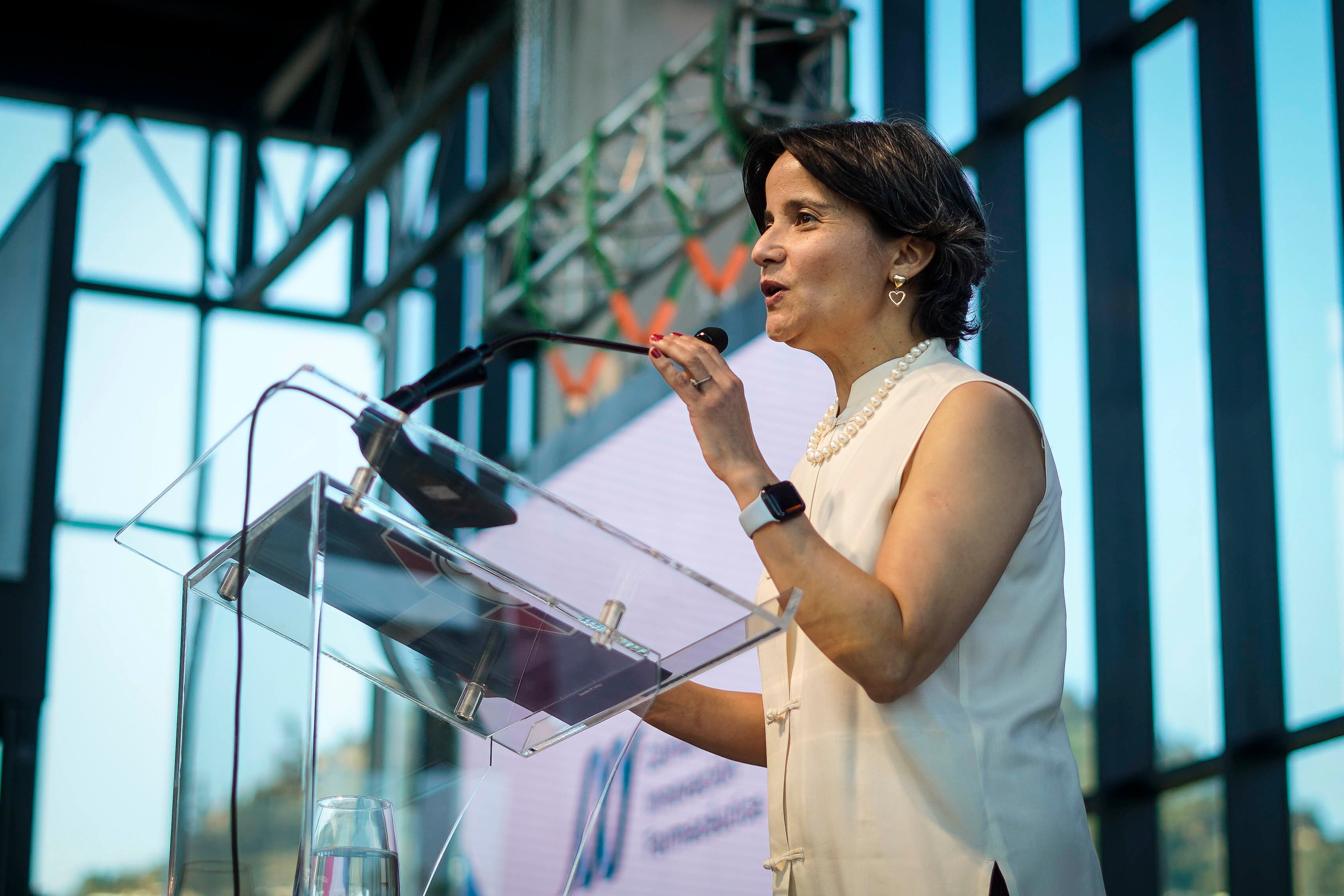 Anamaría Arriagada, presidenta Colegio Médico de Chile.