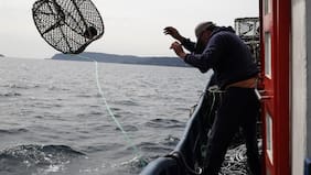 Productora española de choritos pide su reorganización para evitar la quiebra