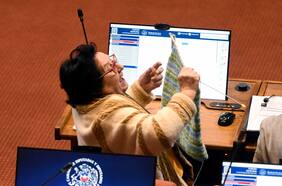 “Está implícito el ánimo de deshonrar”: Suprema dio a conocer fallo que confirmó desafuero de diputada María Luisa Cordero