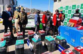 Su destino era República Dominicana: operación en San Antonio permite incautación de cerca de 850 kilos de marihuana