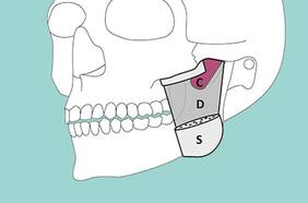 Científicos descubren nueva parte del cuerpo humano