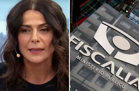 Sin editar: lea aquí la declaración completa de Tonka Tomicic en el caso relojes y las referencias a su exesposo Parived