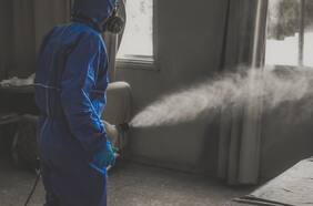 La gripe aviar podría estar mutando y volverse más transmisible a los humanos, dicen científicos tras primer caso grave en EEUU