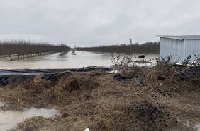 Gremios agrícolas dan a conocer primeros balances por sistema frontal y calculan millonarias pérdidas