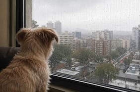 ¿Cuándo vuelve la lluvia a la Región Metropolitana? Esto dice el pronóstico