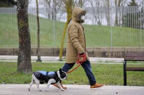 Mi perro y yo en la interminable soledad de la pandemia (3ª parte): Nostalgia paternal