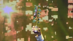 Cómo votar en el Copihue de Oro de La Cuarta