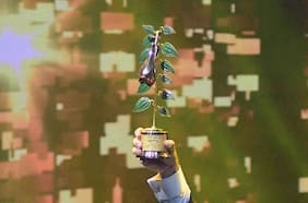 Cómo votar en el Copihue de Oro de La Cuarta