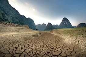 Datos para una contabilidad integrada del carbono en nuestros ecosistemas