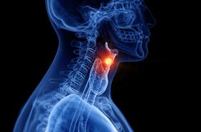 Científicos chilenos realizan un esperanzador hallazgo en el tratamiento del cáncer de laringe