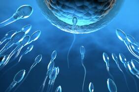 Anticonceptivo masculino: descubren gen que podría ser clave para crear uno “reversible” y “no hormonal”