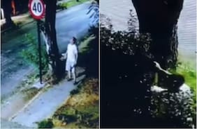 “Pistolero de La Reina” es dejado en libertad: Delegación Presidencial abre sumario por abogada que no llegó a audiencia