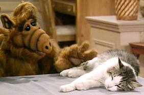 Alf vuelve a la televisión chilena: ¿Cuándo y dónde se puede ver?