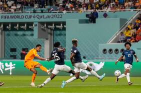 Video: Países Bajos abre la cuenta rápidamente frente a Ecuador