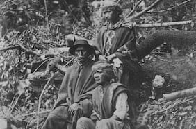 Usando ADN, inédito estudio determina el origen de los mapuches y reconstruye su ascendencia genética