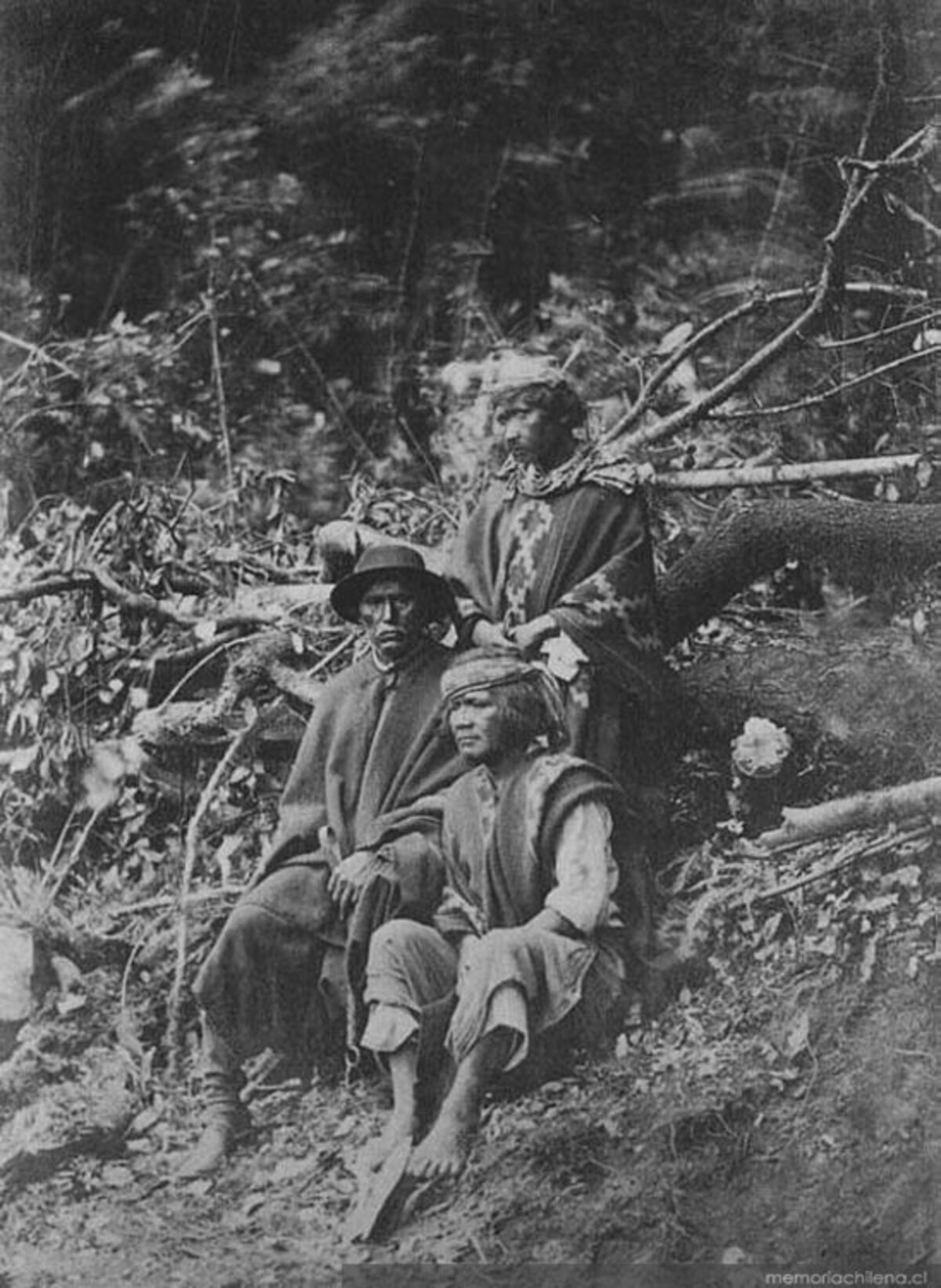 Usando ADN estudio determina el origen de los mapuches - La Tercera