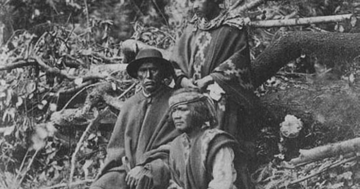 Usando ADN estudio determina el origen de los mapuches - La Tercera
