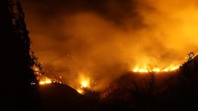 Llaman a evacuar sector de Ránquil tras avance de incendio forestal
