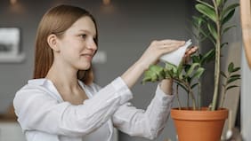 ¿Es cierto que hablarle a nuestras plantas hace que crezcan más sanas? Esto dice la ciencia