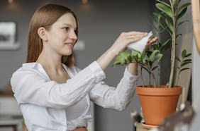 ¿Es cierto que hablarle a nuestras plantas hace que crezcan más sanas? Esto dice la ciencia