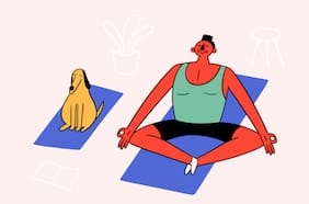 Instrucciones para registrar a tu mascota