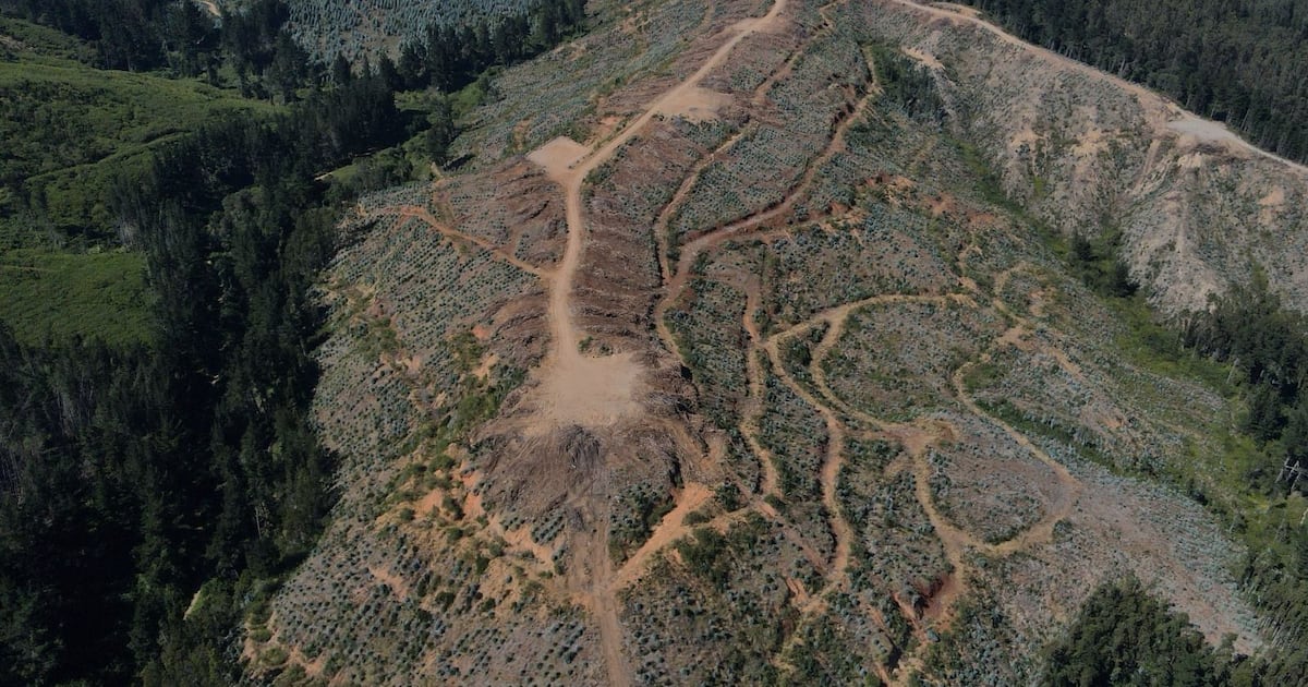 Coeva del Biobío aprueba proyecto minero de tierras raras en Penco - La Tercera
