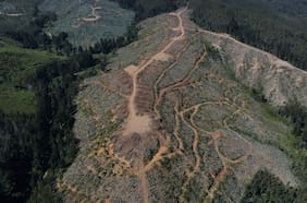 Coeva del Biobío aprueba proyecto minero de tierras raras en Penco